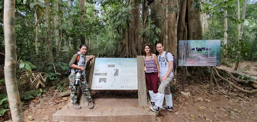 From Bangkok: Khao Yai National Park Jungle Trek with Lunch - Nong Phak Chi Nature Trail: the 2.5-hour jungle walk that does the work