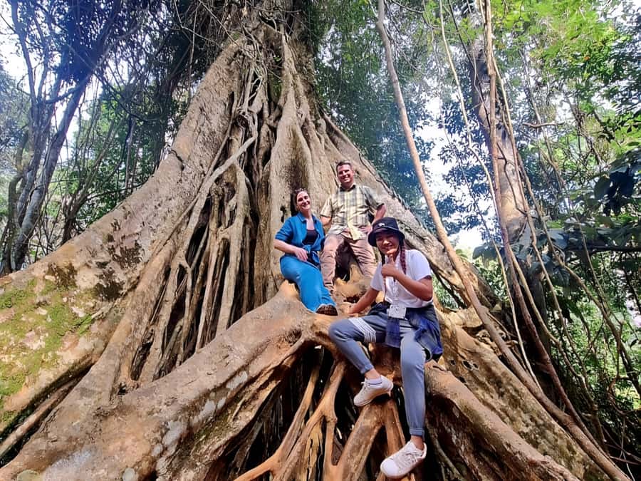From Bangkok: Khao Yai National Park Jungle Trek with Lunch - Haew Su Wat Waterfall: The Beach fame, real jungle shade, and no swimming