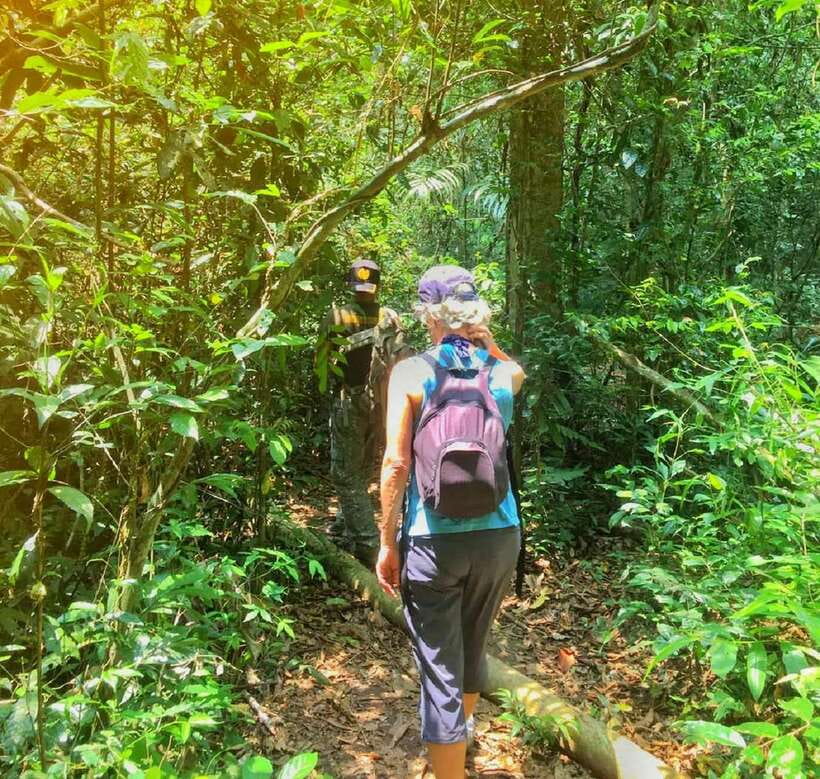 From Bangkok: Khao Yai National Park Small-Group Day Trip - Key things I’d plan around
