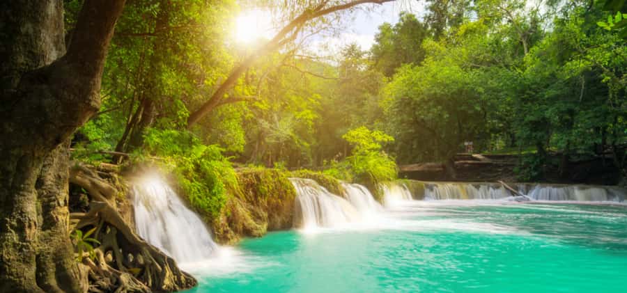 From Bangkok: Khao Yai Private Charter with Multiple Options - Sunflower Fields, Mazes, and Luang Pu Tuad Temple: Pick Your Mood Stops