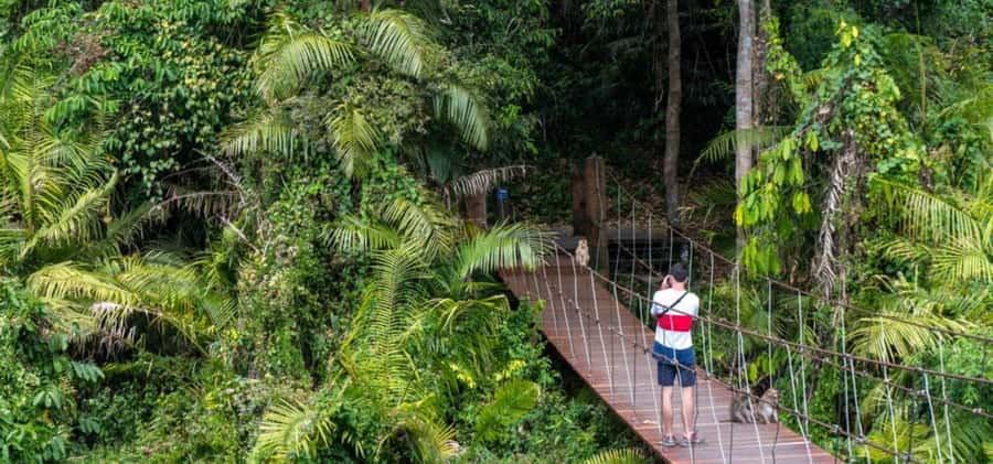 From Bangkok: Khao Yai Private Charter with Multiple Options - Getting From Bangkok: When the Drive Becomes Part of the Plan
