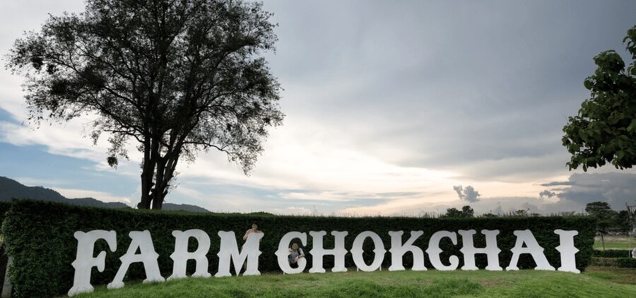 From Bangkok: Khao Yai Private Charter with Multiple Options - PB Valley Winery: Wine Tasting Time with Real Down-Time