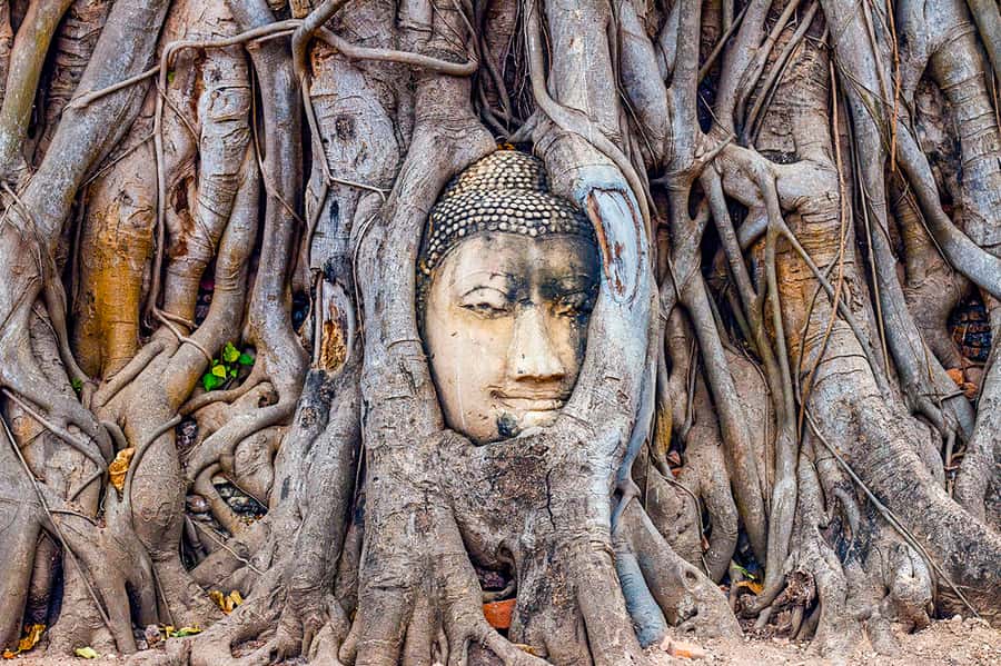 From Bangkok: Markets and Ayutthaya Tour - What the Spanish Guide Changes (More Than You Think)