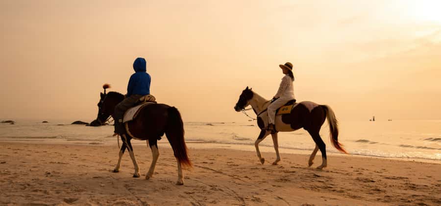 From Bangkok or Hua Hin: Hua Hin Tour with Private Charter - Who This Hua Hin Private Charter Fits Best