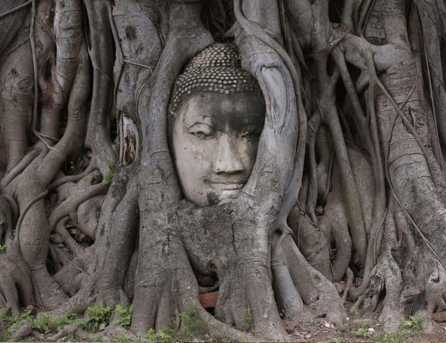From Bangkok: Private Guided Tour of Ayutthaya’s 6 Temples - Why the 6-temple private loop fits Ayutthaya so well