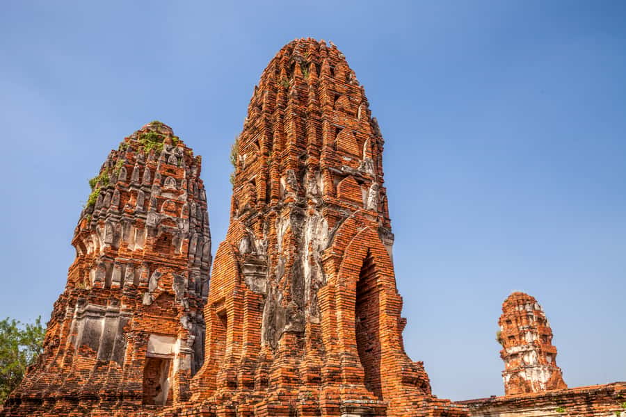 From Bangkok: Private Tour to Ayutthaya & Summer Palace - Wat Lokayasutharam and Wat Mahatat: Reclining Buddha Meets the Bodhi Tree