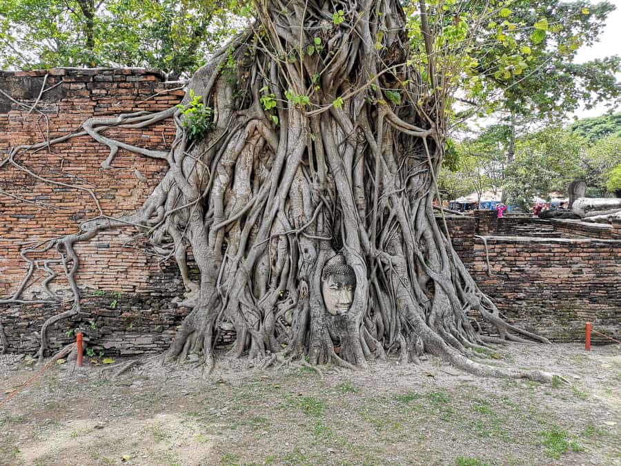From Bangkok: Private Tour to Ayutthaya & Summer Palace - Hotel Pickup and the Air-Conditioned Sanity Saver