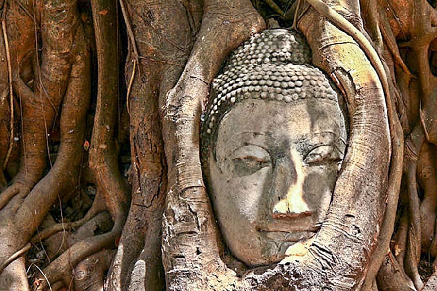 From Bangkok: Tour Ayutthaya + Lunch + Spanish guide - Lunch at a Thai Restaurant: Included Fuel That Keeps the Day on Track