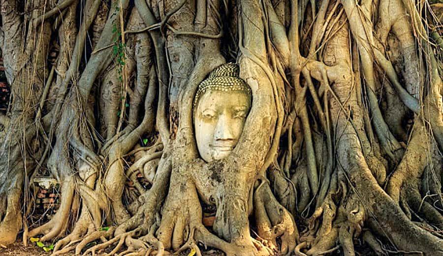 From Bangkok: Tour Ayutthaya + Lunch + Spanish guide - Spanish Guide Pauwan-Style Insight: The Real Difference Maker