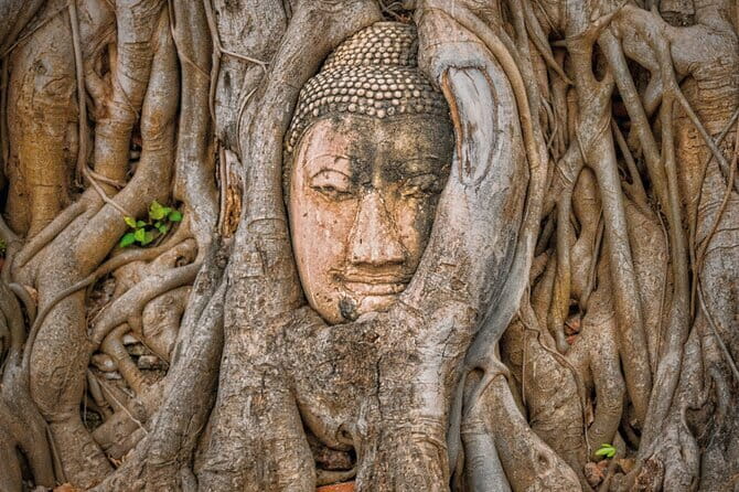 Glittering Ayutthaya Tour to Famous Sights, Market & Sunset Boat - Wat Mahathat: the famous Buddha head and tree roots