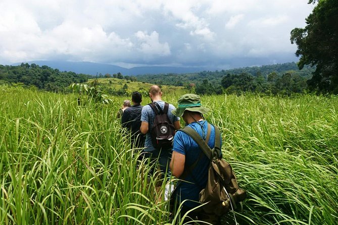 Haew Suwat Waterfall-Jungle Hiking to KM 33 Nong Pak Chi - A morning escape into Khao Yai’s quieter side