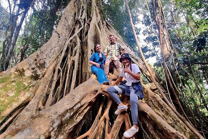 Haew Suwat Waterfall-Jungle Hiking to KM 33 Nong Pak Chi - Getting there from Bangkok: long drive, early start, and how to survive it