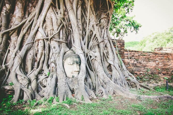 Heritage Tour in Ayutthaya by Cruise - Wat Mahathat: the Buddha head in the bodhi tree
