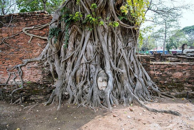 Historical City of Ayutthaya - Unesco Full Day Tour From Bangkok - Wihan Phra Mongkhon Bophit: a short stop with a very big bronze Buddha