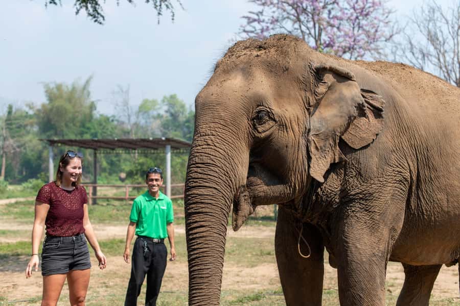Kanchanaburi: Elephant Sanctuary & Erawan Waterfall Tour - Key Things To Know Before You Go