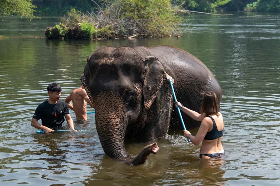 Kanchanaburi: Elephant Sanctuary & Erawan Waterfall Tour - Erawan National Park: Caves, Forest Trek, and the 7-Tier Waterfall