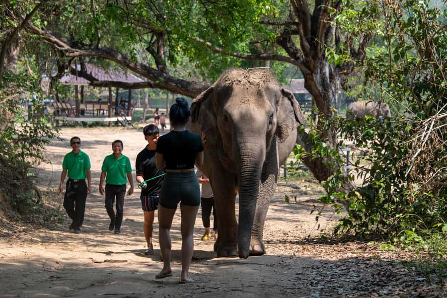 Kanchanaburi: Elephant Sanctuary & Erawan Waterfall Tour - Responsible Touring: GSTC Focus, Bottle Water, and Carbon Offsets
