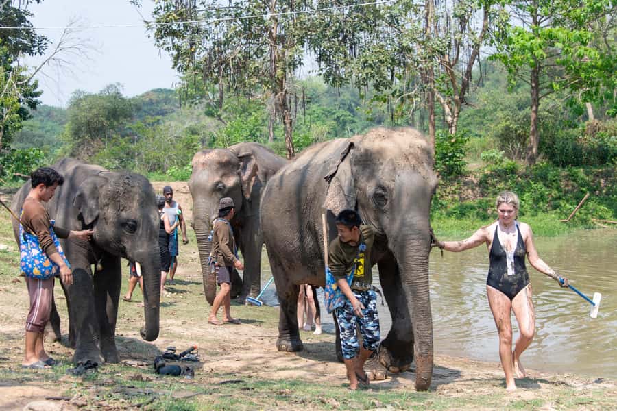 Kanchanaburi: Elephant Sanctuary & Erawan Waterfall Tour - Timing, Pickup, and What You Need to Be Ready For