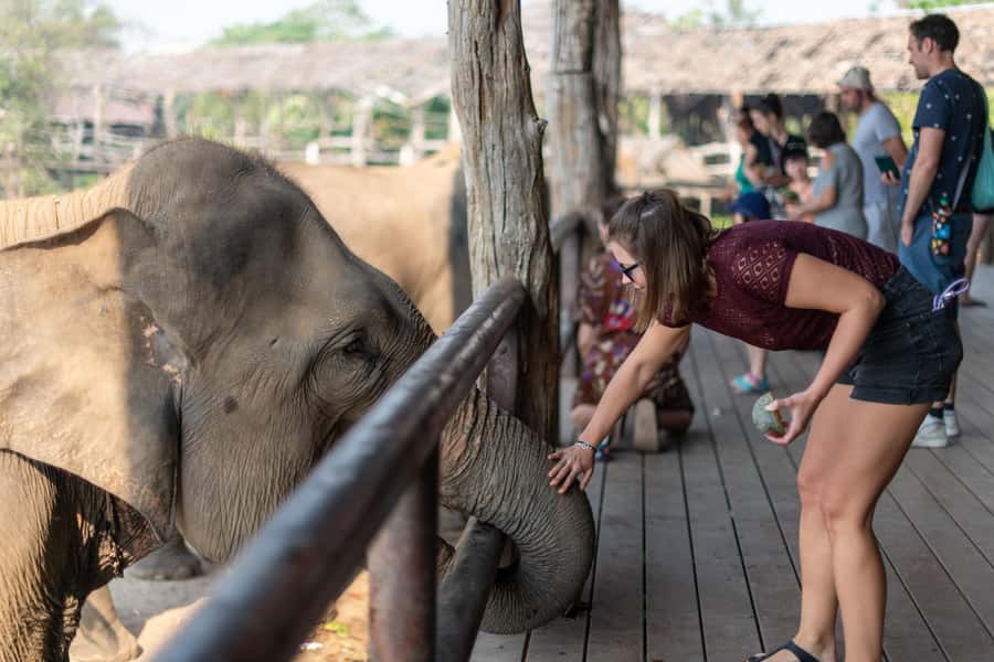 Kanchanaburi: Elephant Sanctuary & Erawan Waterfall Tour - What People Tend to Love Most