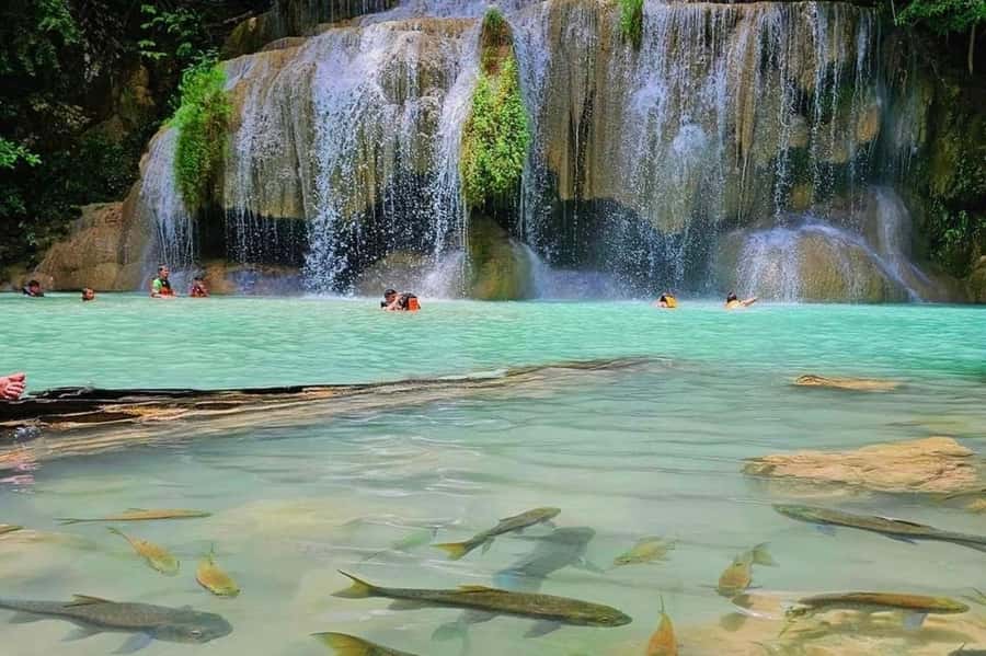 Kanchanaburi Private Charter from Bangkok | Thailand - Skywalk Kanchanaburi, Sai Yok Noi, and the elephant camp: balancing wow moments with travel time
