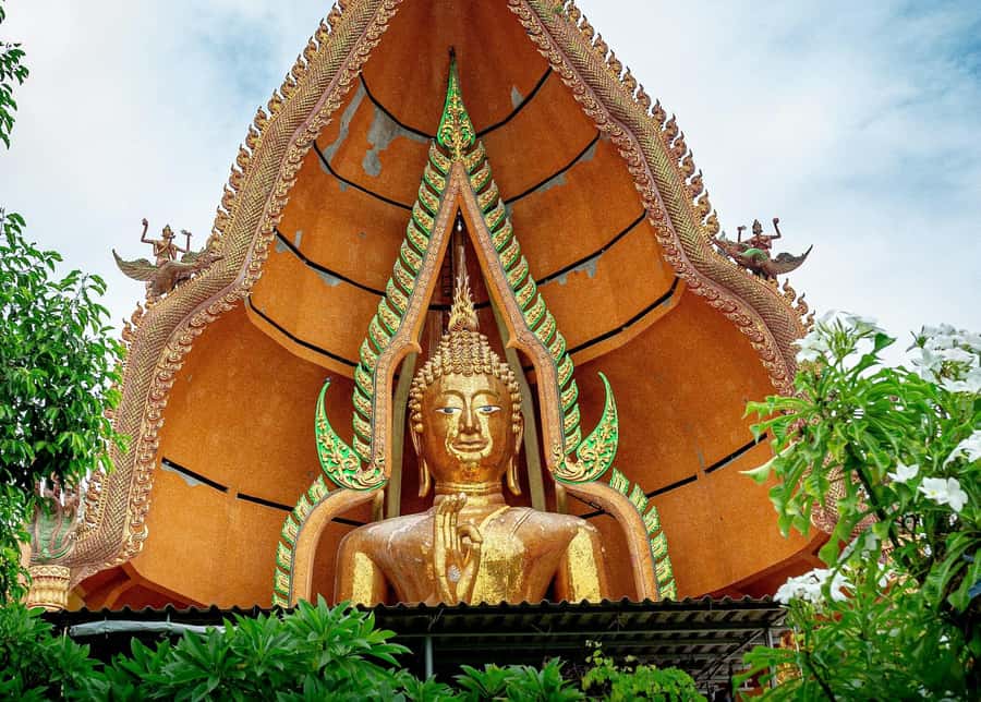 Kanchanaburi: River Kwai and Death Railway Day Tour - Lunch window and a local café coffee break that keeps the day human