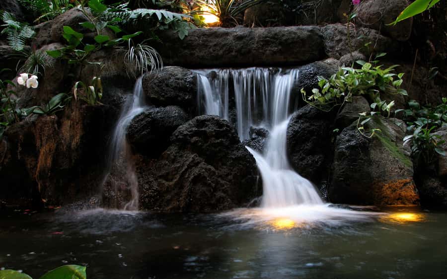 Khao Yai National Park: 2-Day Private Tour from Bangkok - Haew Suwat Waterfall, Lunch, and a Natural Pool Swim