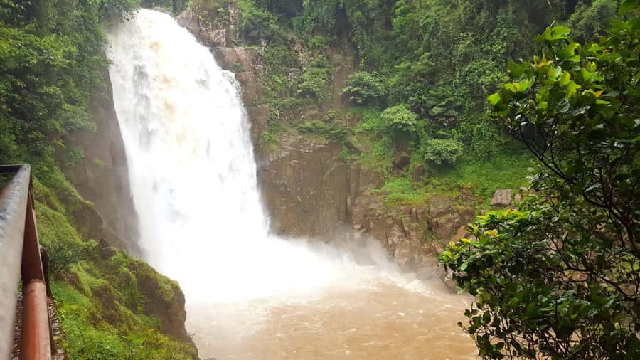 Khao Yai National Park: 2-Day Private Tour from Bangkok - Second-Peak Views: Slow Down After the Swim