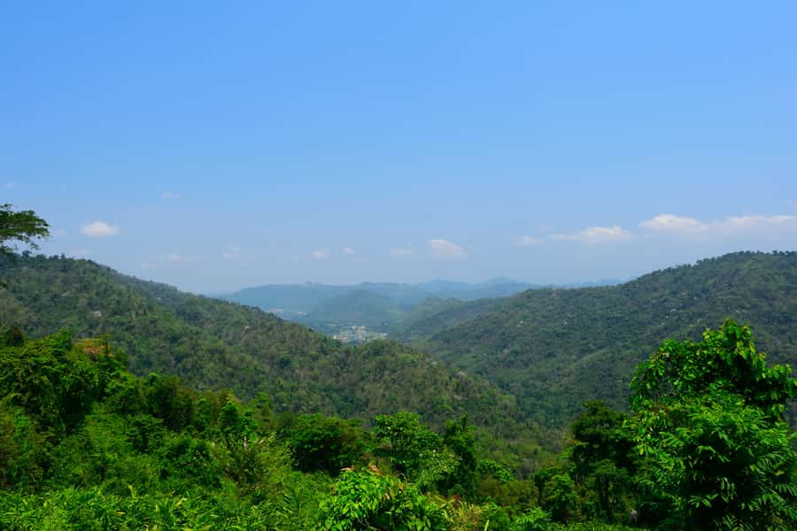 Khao Yai National Park: 2-Day Private Tour from Bangkok - Evening Elephant Stakeout at the Salt Licks