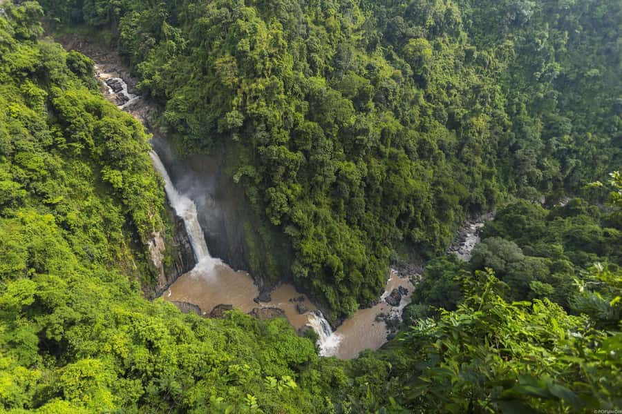 Khao Yai National Park: 2-Day Private Tour from Bangkok - What to Pack and How to Stay Comfortable