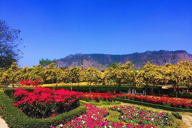 Khao Yai national Park day tour from Bangkok - Smart packing for a hot, full day in Khao Yai