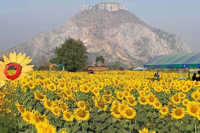 Khao Yai national Park day tour from Bangkok - Who this tour fits best (and who should think twice)