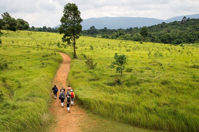 Khao Yai National Park Full Day - Bangkok to Khao Yai: what the long drive actually means