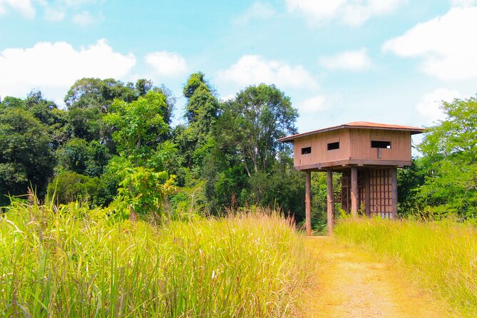Khao Yai National Park Full Day - Trail No. 3 (33th km) and the Nong Phak Chi Nature Trail