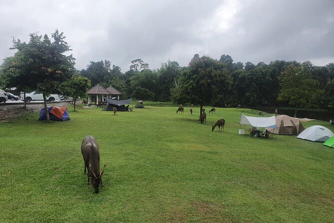 Khao Yai National Park Full Day - Haew Narok Waterfall: the taller payoff after the hike