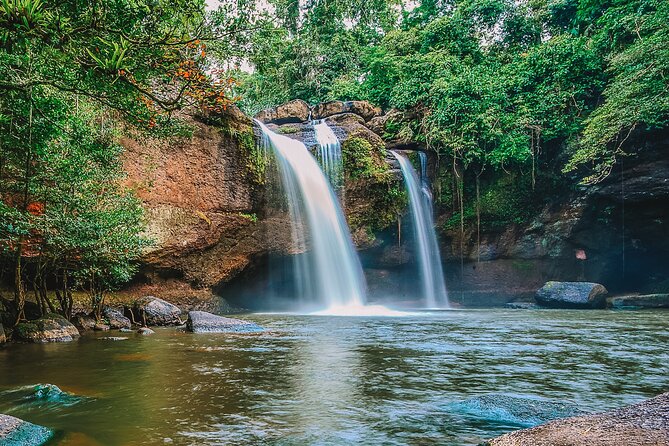 Khao Yai National Park Full Day - Wildlife odds: how to think about elephants, gibbons, and macaques