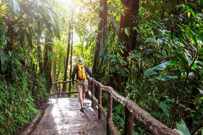 Khao Yai National Park Full-Day From Bangkok - Including Ticket - Khao Yai National Park trails: wildlife, birds, and the real workout