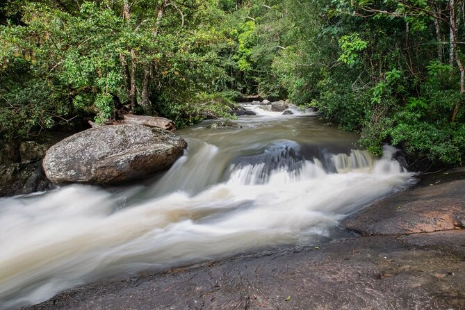 Khao Yai National Park Full-Day From Bangkok - Including Ticket - The guide and small-group pacing: why it changes the day