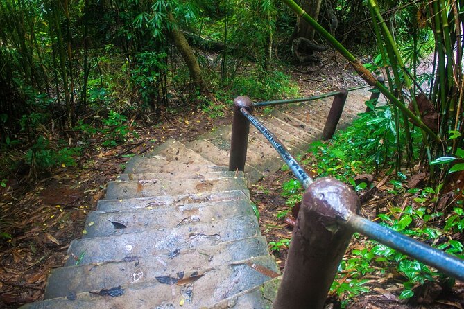 Khao Yai National Park Full-Day From Bangkok - Including Ticket - Who this Khao Yai day trip suits best
