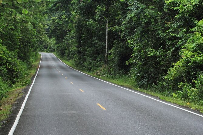 Khao Yai National Park Full-Day From Bangkok - Including Ticket - Should you book this Khao Yai National Park full-day tour from Bangkok?