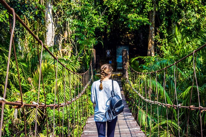 Khao Yai National Park Full Day Tour from Bangkok - Key highlights to look for before you book