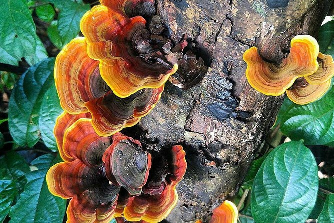 Khao Yai National Park Hiking Day Tour: Haew Narok and Haew Suwat - Sai Sorn Reservoir: a short stop that can turn wildlife-spotting into a win