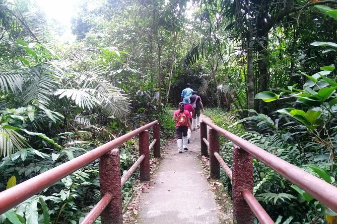 Khao Yai National Park Hiking Day Tour: Haew Narok and Haew Suwat - Lunch at the park zone: Thai food, fruit, and bottled water