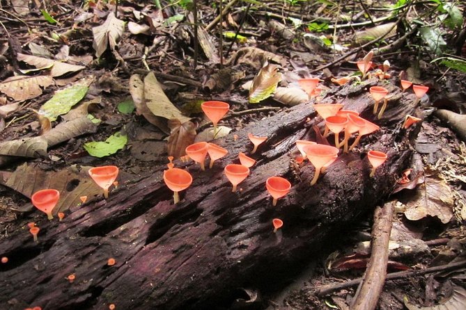 Khao Yai National Park Hiking Day Tour: Haew Narok and Haew Suwat - The Khao Yai Visitor Centre: where your hike starts to make sense