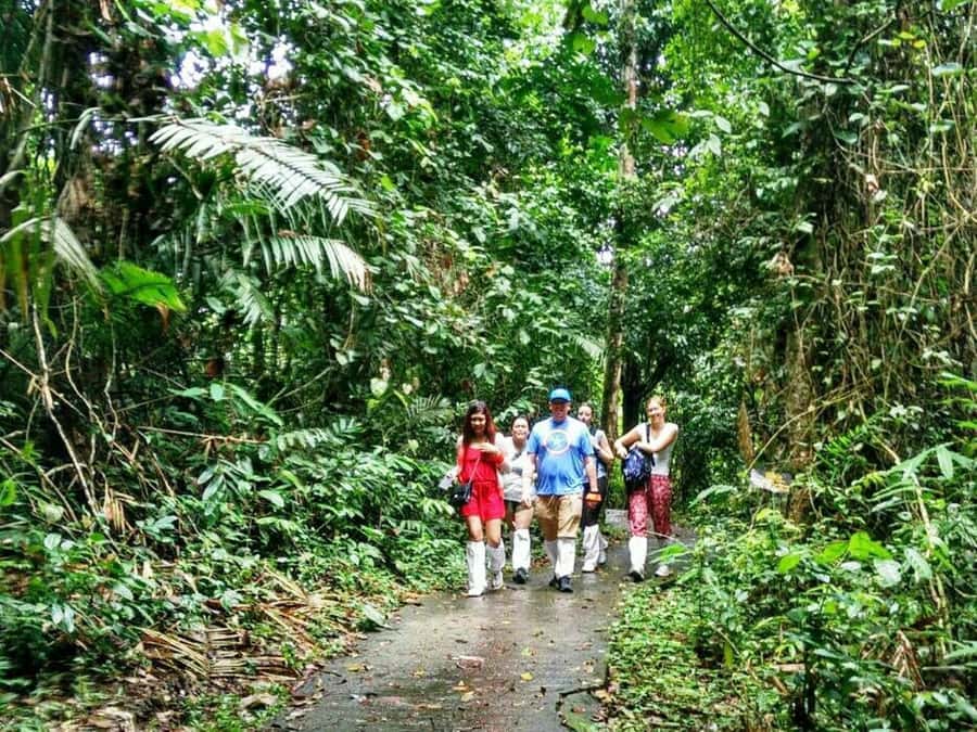 Khao Yai National Park: Waterfalls - Heaw narok & Heaw Suwat - Key things I’d circle before you go