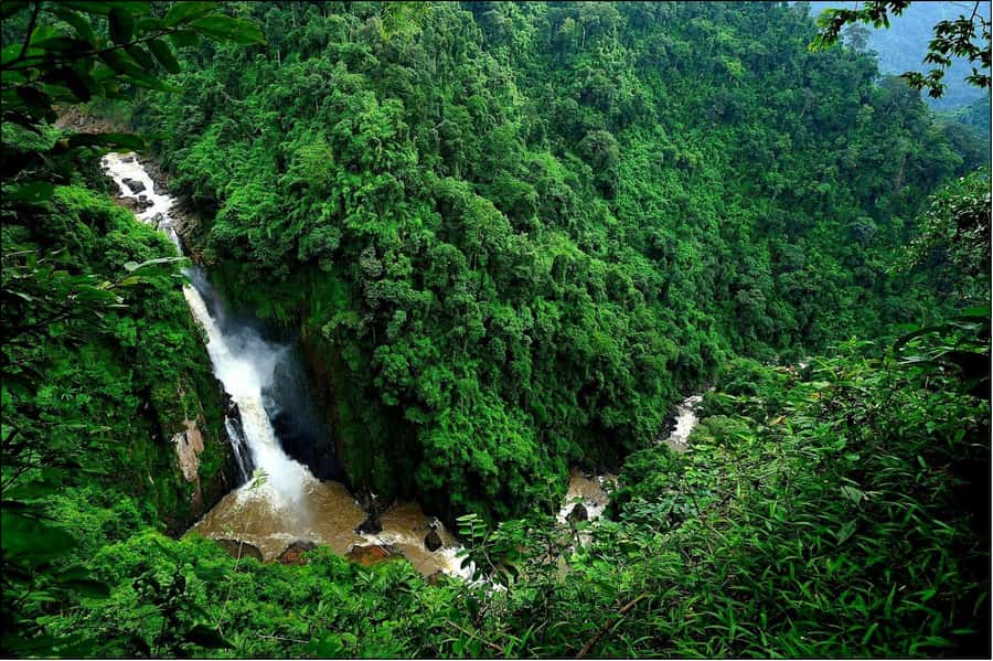 Khao Yai National Park: Waterfalls - Heaw narok & Heaw Suwat - Price and value: what you’re paying for with $189 per person