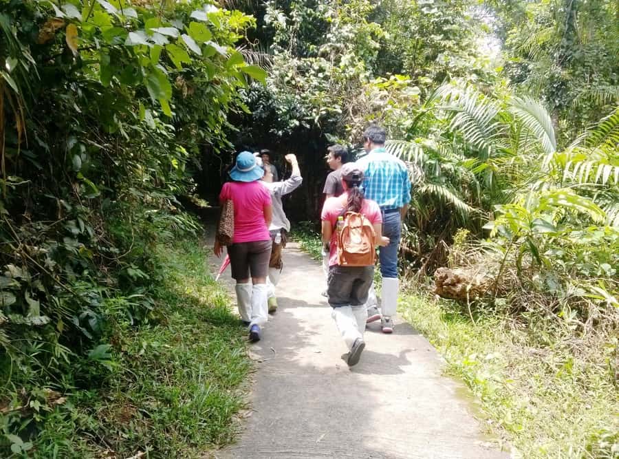 Khao Yai National Park: Waterfalls - Heaw narok & Heaw Suwat - Thai lunch that keeps your energy stable for the long day