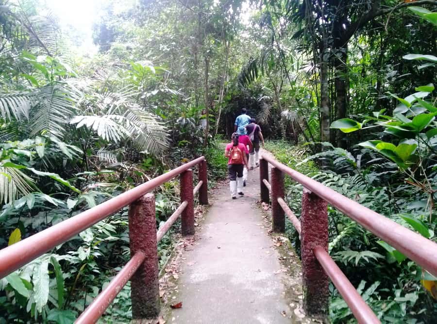 Khao Yai National Park: Waterfalls - Heaw narok & Heaw Suwat - KM. 30 viewpoint on Thanarat Road: a morning birdwatcher kind of stop