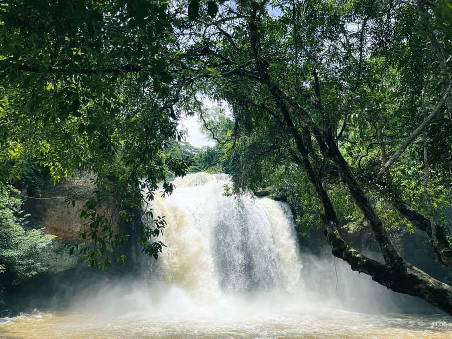 Khao Yai: Private Custom Tour with Driver From Bangkok - Chocolate Factory Stop: A Fun Break from Pure Nature
