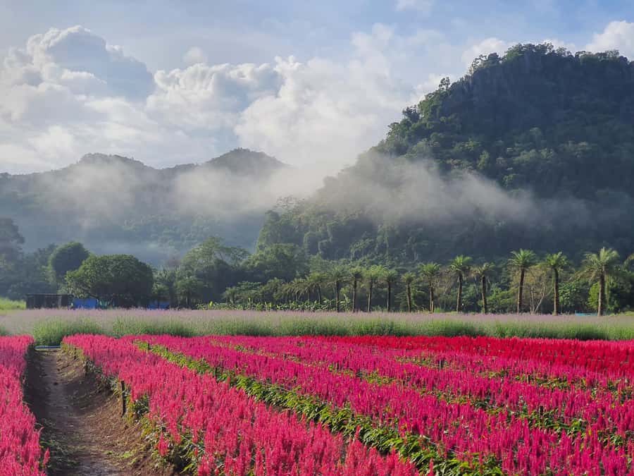 Khao Yai: Private Custom Tour with Driver From Bangkok - Pickup Zones, Timing, and Luggage: Small Details That Save Hassle
