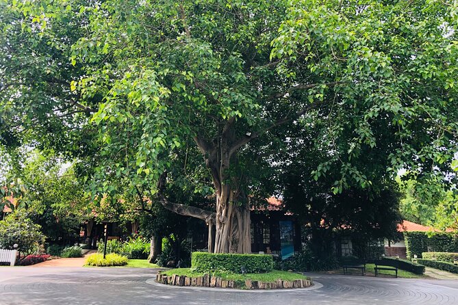 Khao Yai Private tour from Bangkok - The driver advantage: flexibility you can actually feel